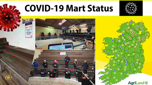 Mart status: Updates and commentary as marts given permission to reopen [ongoing]