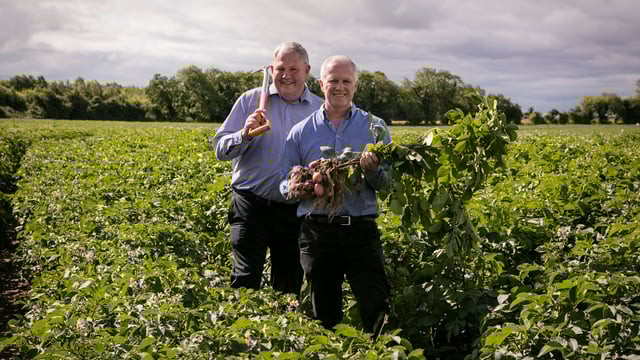 Country Crest and Tesco confirm €62.5 million vegetable contract