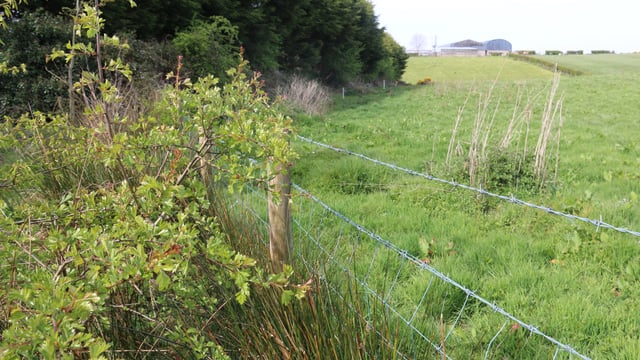 Fourth tranche of Environmental Farming Scheme (Higher) to open