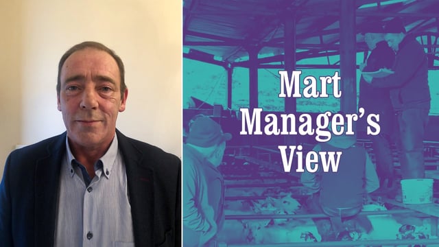 'It was a successful but very time-consuming system to run' - Dowra's Terry McGovern