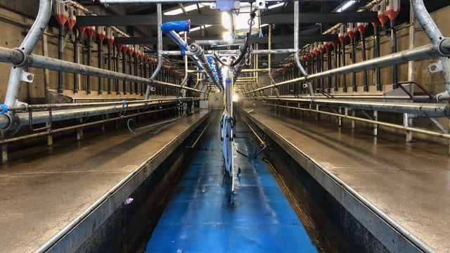 Milk Price Tracker: How does your milk price shape up?