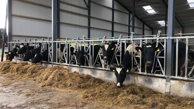 'No reason for change to March milk prices' - ICMSA