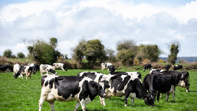 Beat the drop: A guide to grassland management