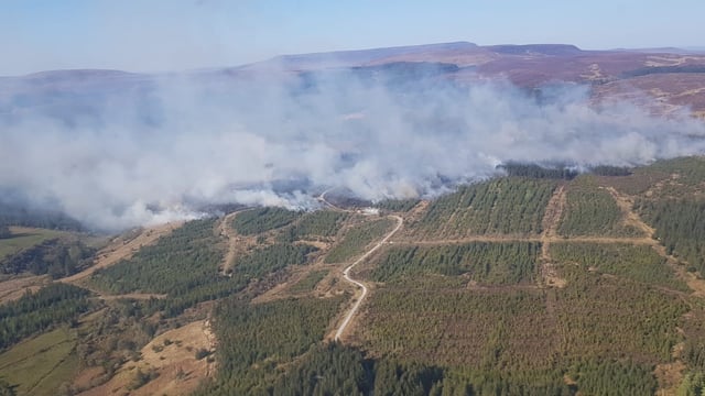 Coillte stresses forest fire risk after Leitrim blaze