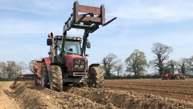 Retail trade strong, but processing stands still as potatoes are planted