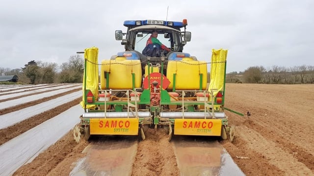 Maize or beet...are you growing on contract?