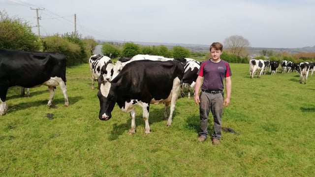 'For us, the breeding period starts at drying off' - dairy farmer Donal Carroll