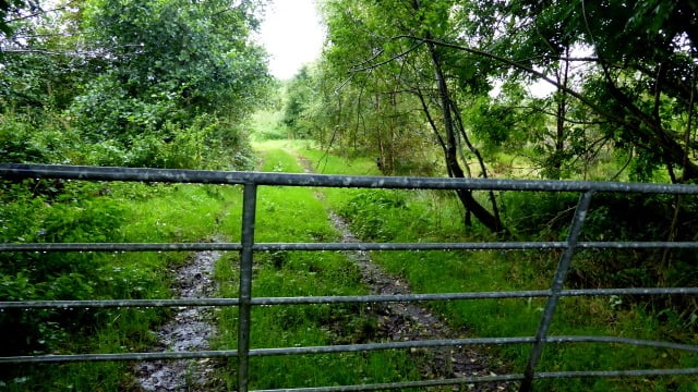Opinion: A 'protectionist mantra' is not in Irish farming's best interests