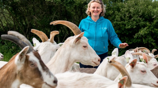 Burren producers' initiative doesn't put eggs all in one basket