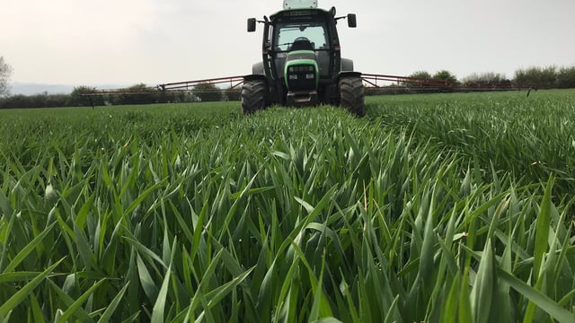 Tillage Focus: Building a sustainable business in Co. Waterford