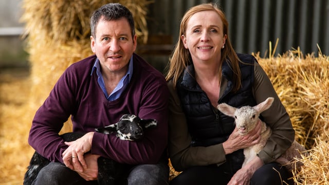 'We had to go from farmers to e-commerce experts overnight'