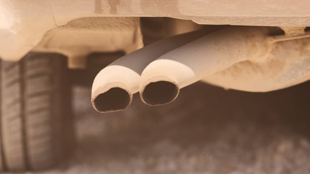 Letter to the editor: 'Cars, and not cows, are the culprit'