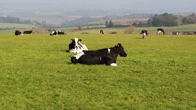 Letter to the editor: As an exporter, I see department officials - not farm lobby groups - go 'above and beyond'