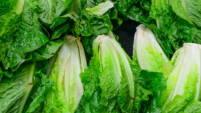 Millions of dollars' worth of crops being destroyed in California