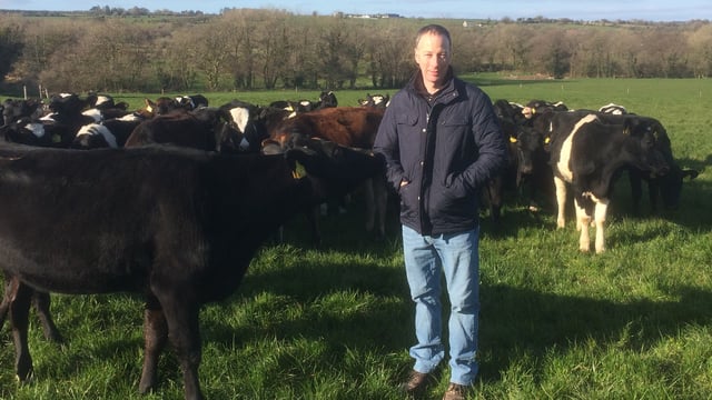 How this Co. Cork dairy farmer serves heifers the easy way