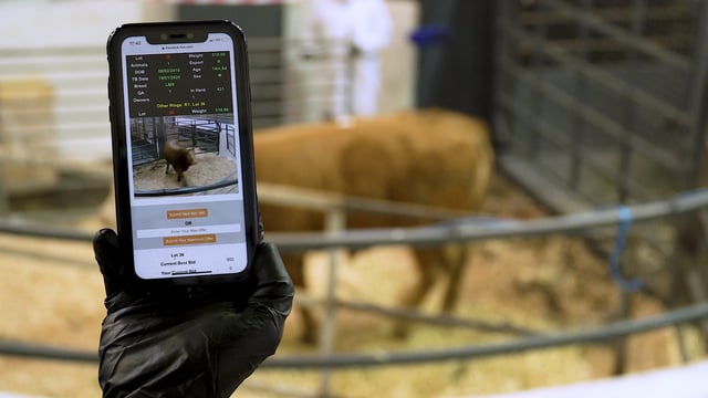 One year on: How has online mart trading performed?