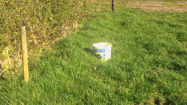 High-risk period for grass tetany