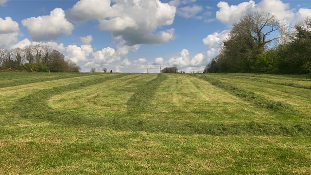 GrowthWatch: Grass in surplus territory