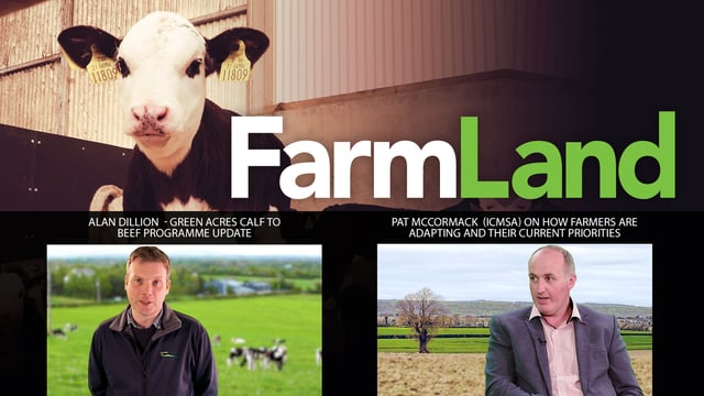 This week's FarmLand: How are dairy and beef systems adapting to Covid-19?
