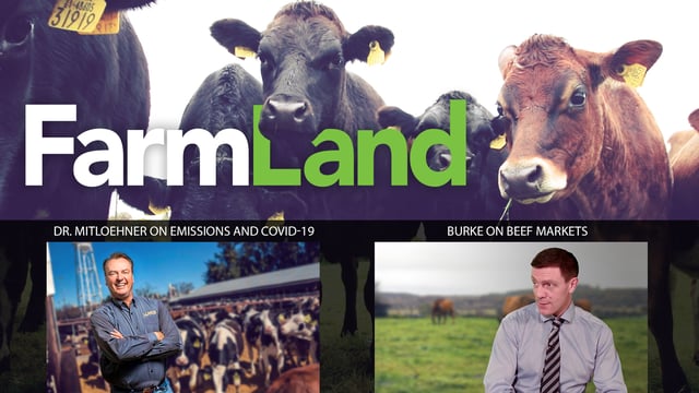 This week's FarmLand: Dr. Frank Mitloehner and Joe Burke on effects of Covid-19...