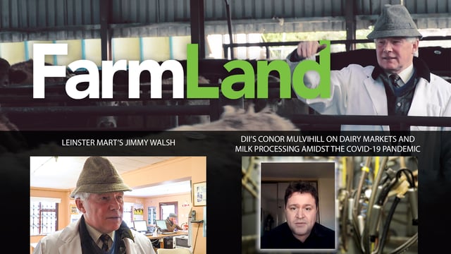 This week's FarmLand: Dairy markets and Covid-19; plus 'glory days' at Leinster Marts...