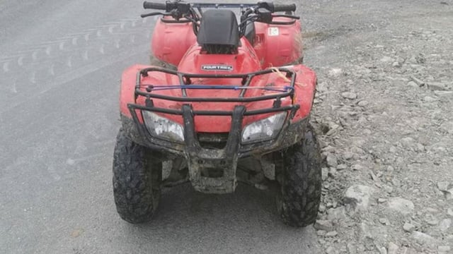Gardaí detain quad following stop on public road