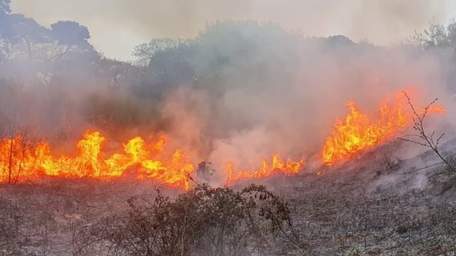 Fire risk notice issued due to dry conditions