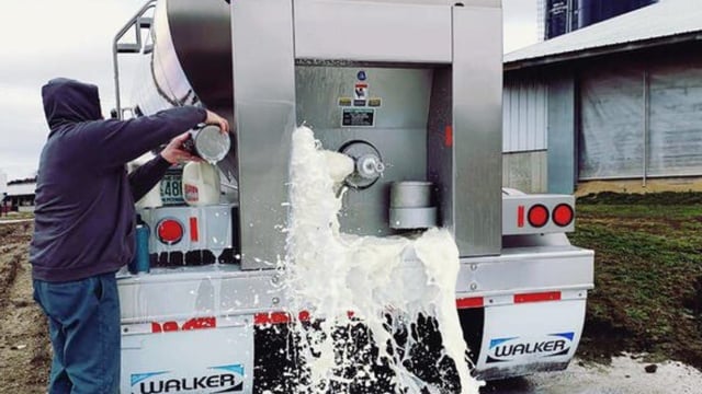American farmers dump milk amid Covid-19 crunch