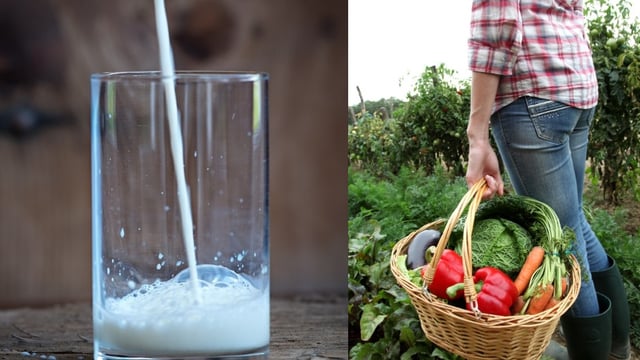 Ireland to receive €3.27 million from EU school fruit, veg and milk scheme
