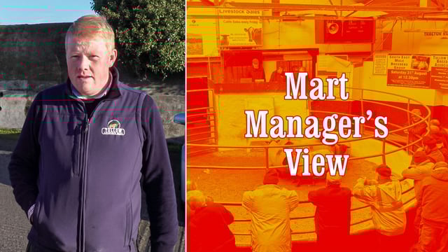 'Ewes with single lambs at foot topped out at €246/head' - Tullow's Eric Driver