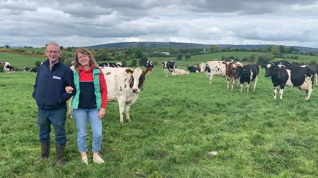 Cavan creche is class act as it imparts farm life lesson videos