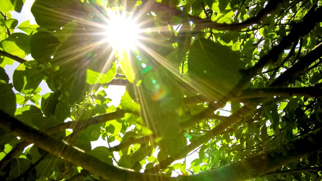 Report: Temperatures in Europe climbing at twice global average