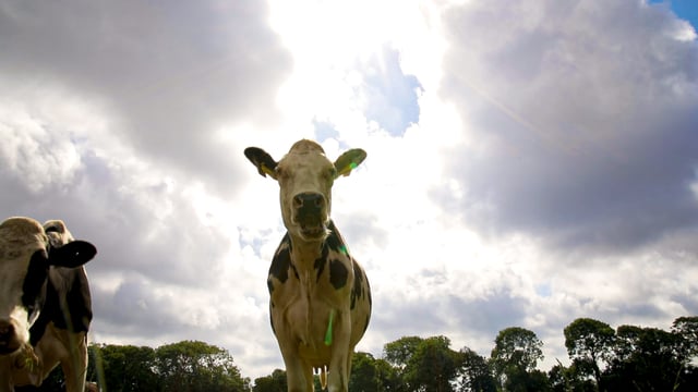 Sunsmart: How to 'save your skin' while farming in the sun