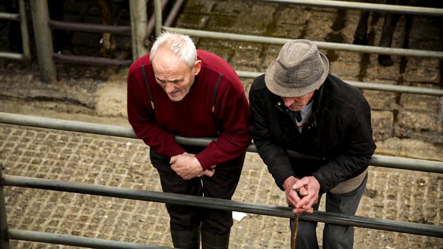 Agricultural bodies join forces to form NI Rural Health Forum