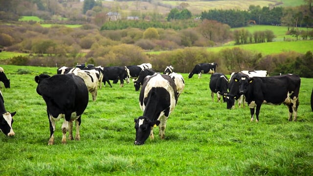 Dairy stakeholders receive consultation document for exit scheme