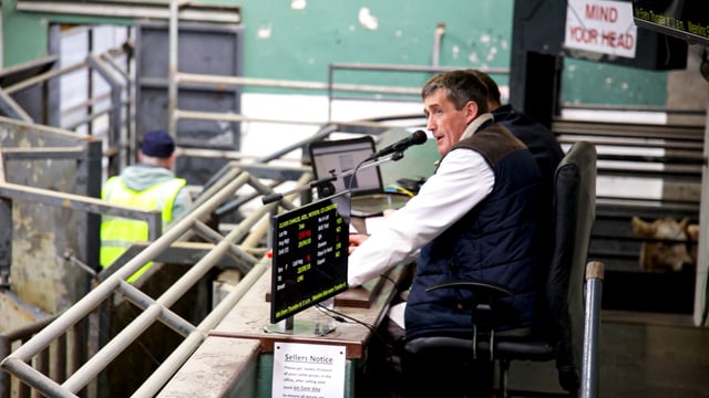 Calling all Irish agri: Are you backing MartAid 2020?