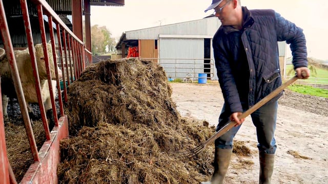 Ireland's agricultural labour productivity increased in 2024