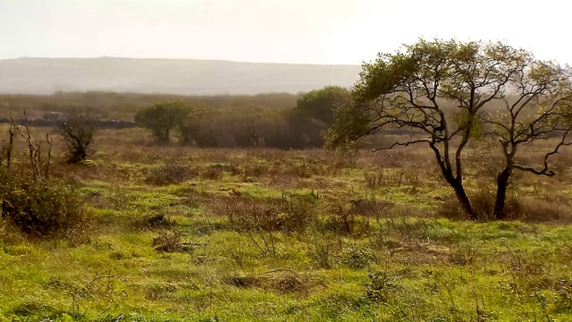 €179m in ANC payments have been issued to farmers