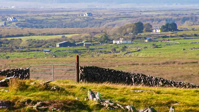 Some Clare farmers are worse off under ACRES - TD