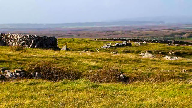 Burren Programme 'a huge success' - McConalogue