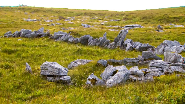 Burrenbeo Trust 'celebration' of biodiversity to begin on May 3