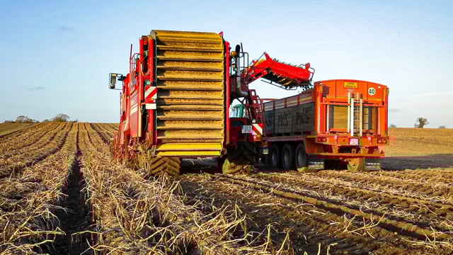 Main crop potato harvest in Northern Ireland well underway