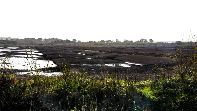 Further mixed reaction to vote on Nature Restoration Law