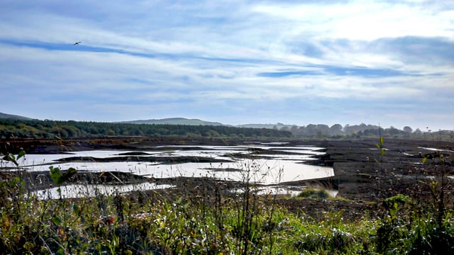 Timeline for Nature Restoration Law almost 'impossible'