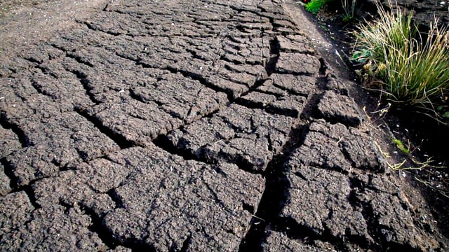 EPA: Large-scale commercial peat extraction continues