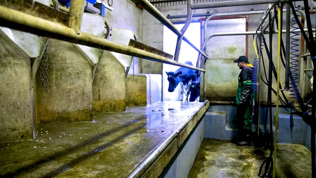 Ornua PPI sees lift for May amid stronger product returns