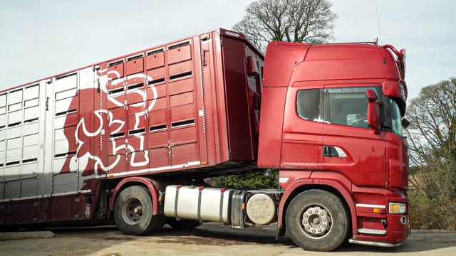 Israeli authorities visit Ireland to view export facilities