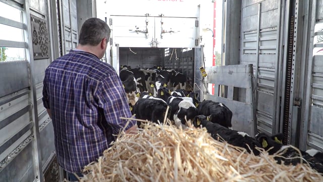 Plans against animal transport proposals are 'concerning' - EFI
