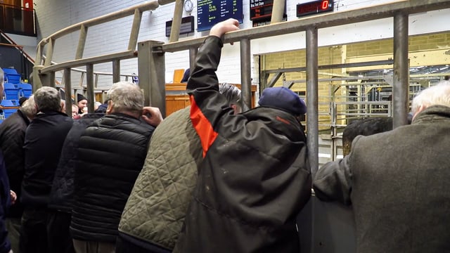 Level 5 restrictions on marts 'proven to be unworkable' as online service runs into difficulties