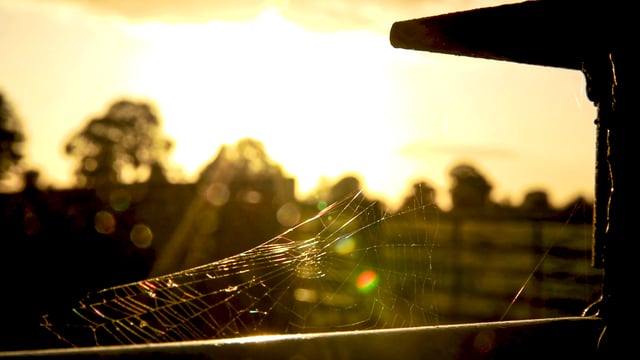Weather: Dry and sunny weekend, but rain may return next week